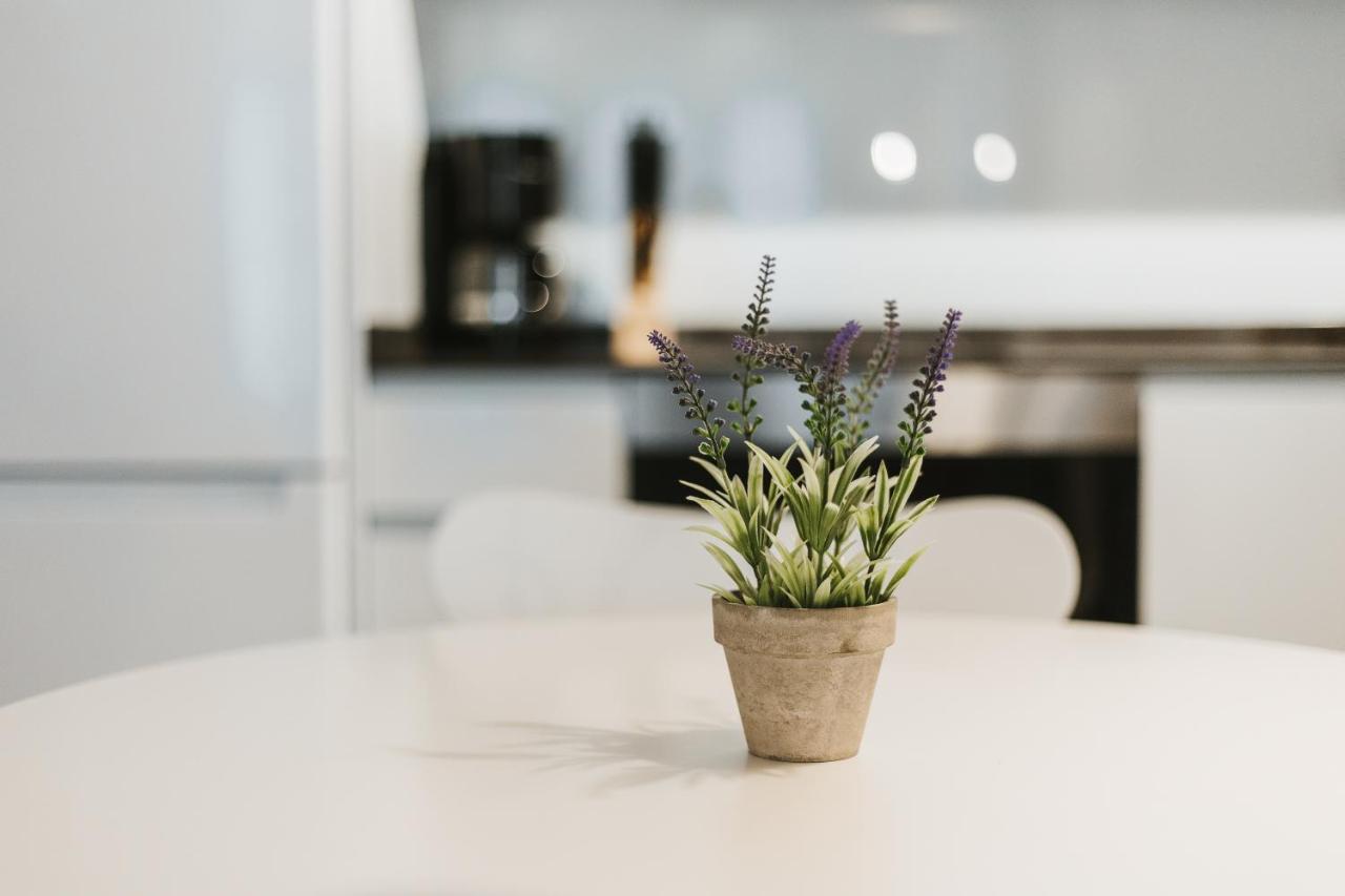 Apartamentos Mk77 Leon- Cantareros エクステリア 写真