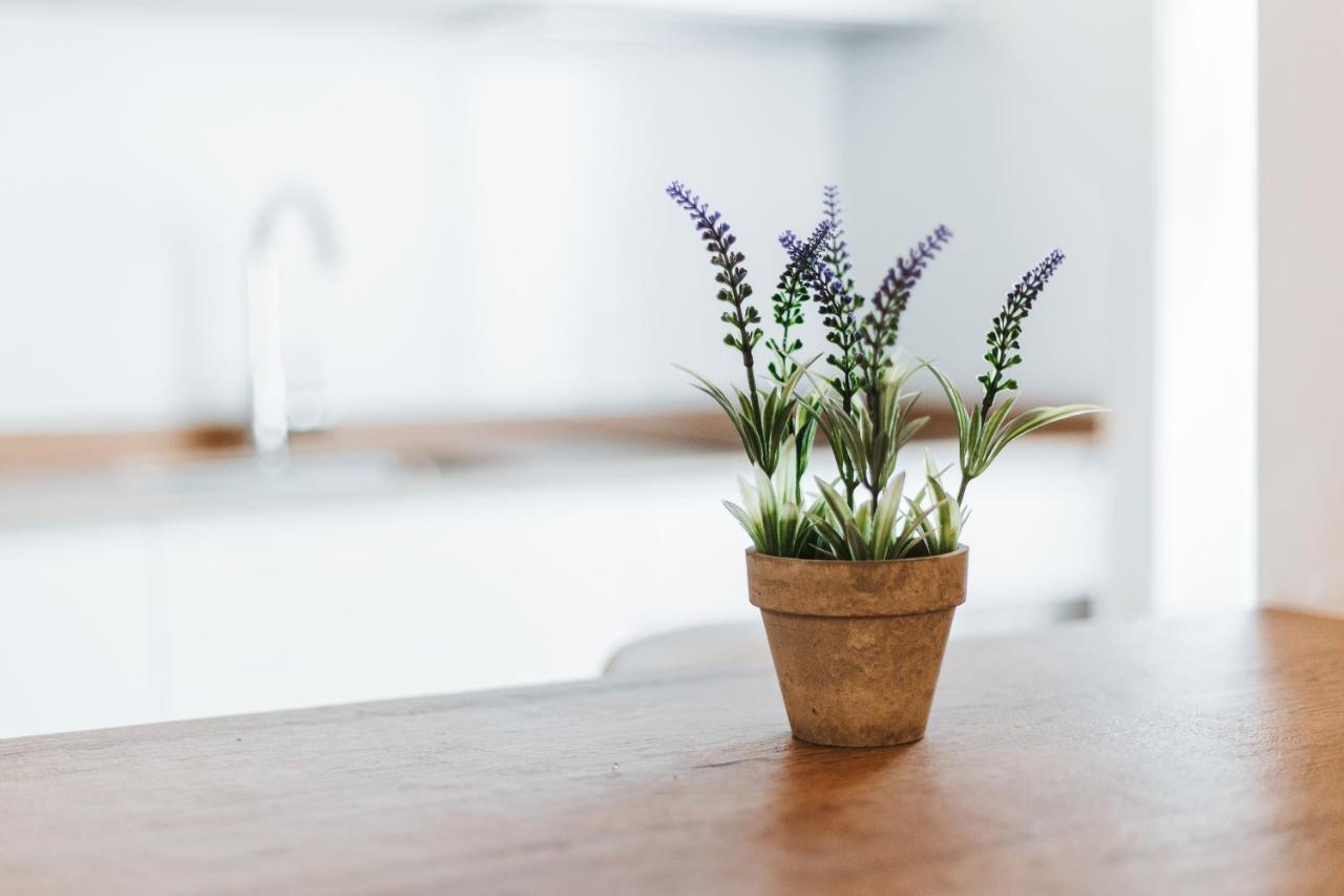 Apartamentos Mk77 Leon- Cantareros エクステリア 写真